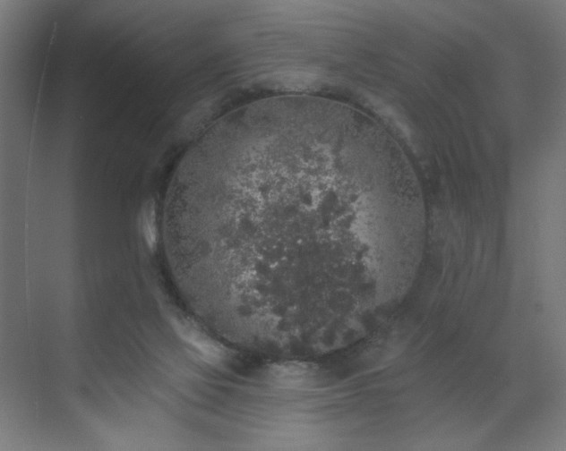 X0000072510069200607141143