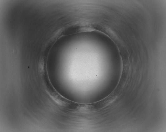 X0000072510072200607141143