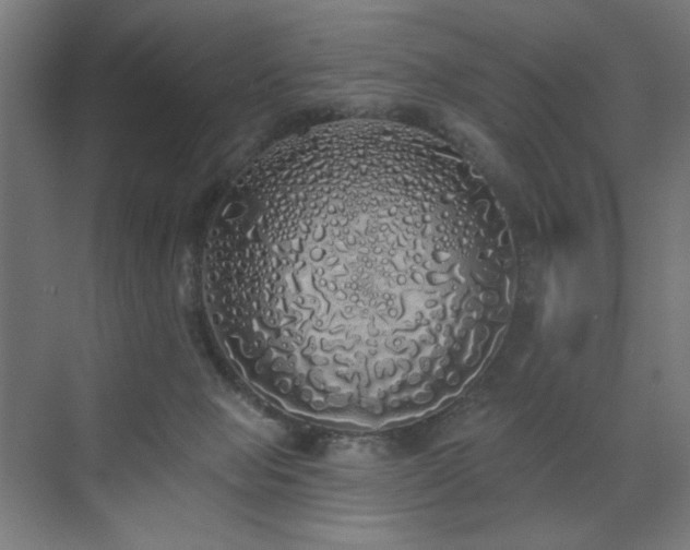 X0000072510077200607141143