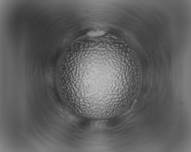 X0000072510078200607141143