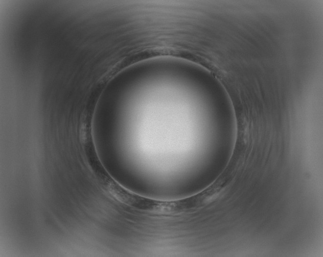 X0000072510080200607141143