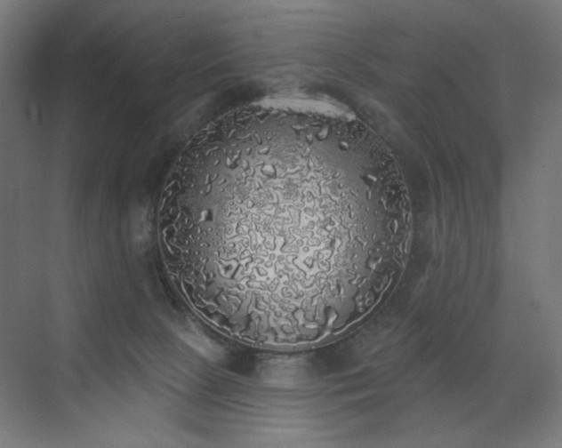 X0000072510081200607141143