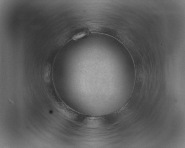 X0000072510082200607141143