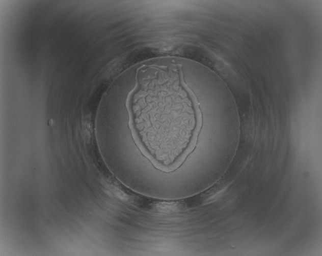 X0000072510085200607141143