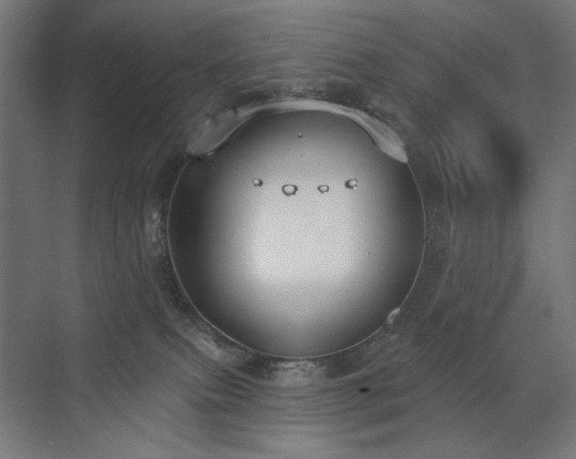 X0000072510087200607141143