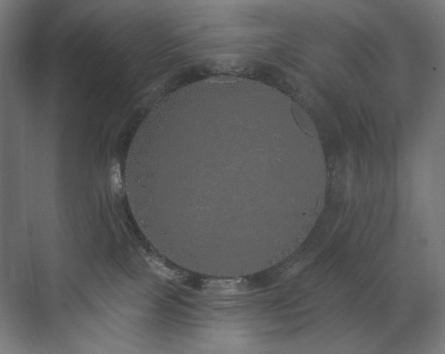 X0000072510089200607141143