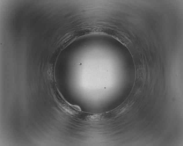 X0000072510092200607141143