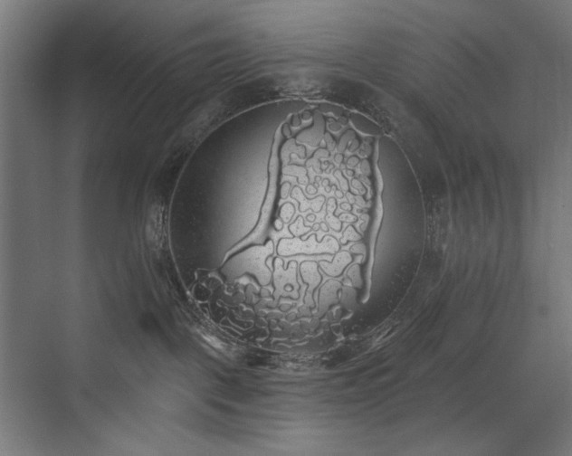 X0000072510093200607141143