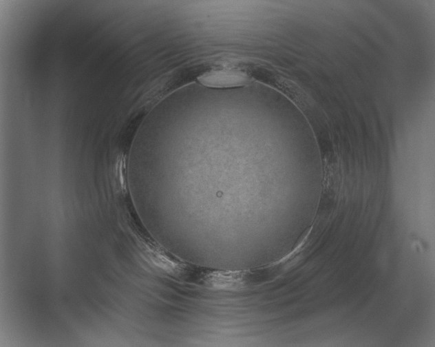 X0000072510094200607141143