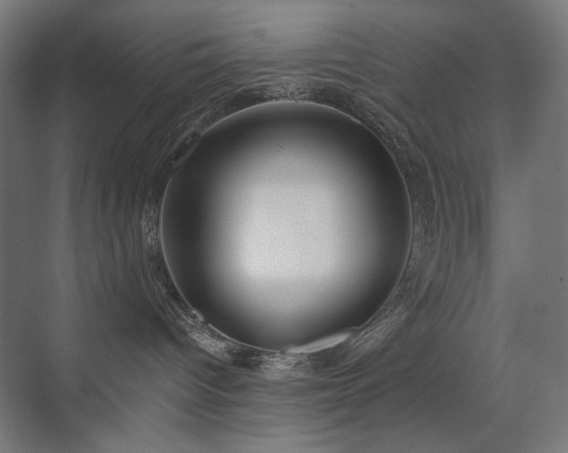 X0000072510096200607141143