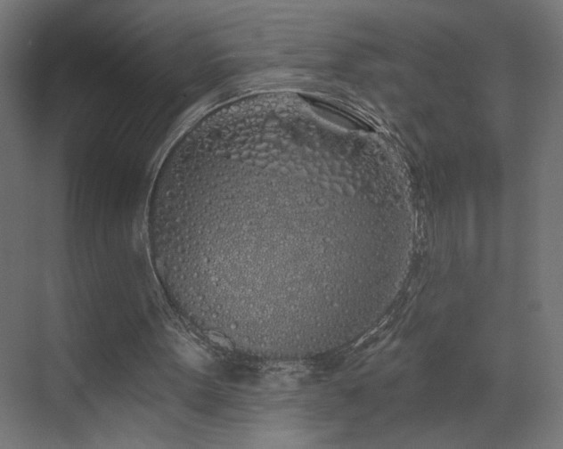 X0000072510099200607141142