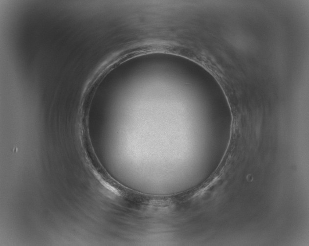 X0000072510101200607141142