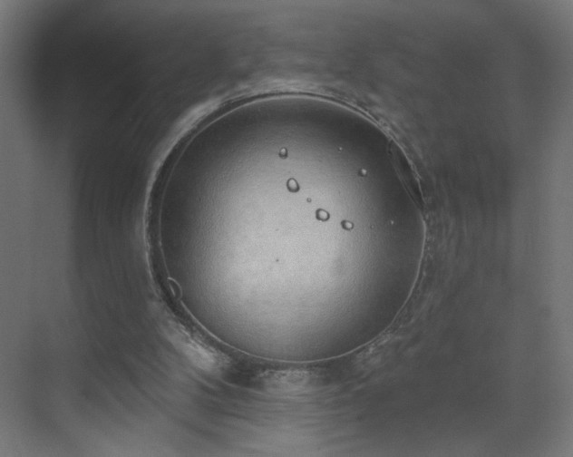 X0000072510104200607141142