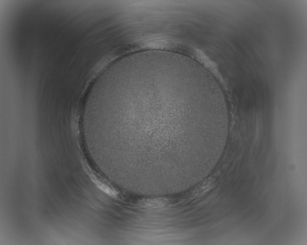 X0000072510106200607141142