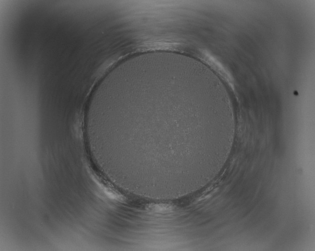 X0000072510107200607141142