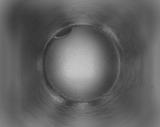 X0000072510108200607141142