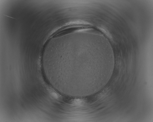 X0000072510111200607141142