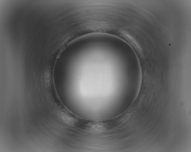 X0000072510113200607141142