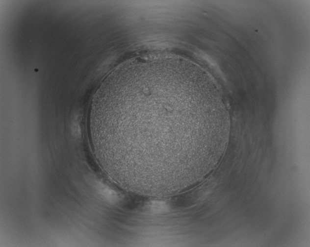 X0000072510114200607141142