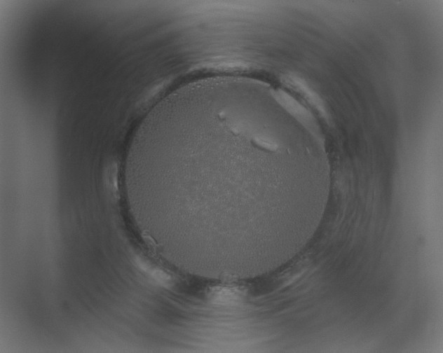 X0000072510115200607141142