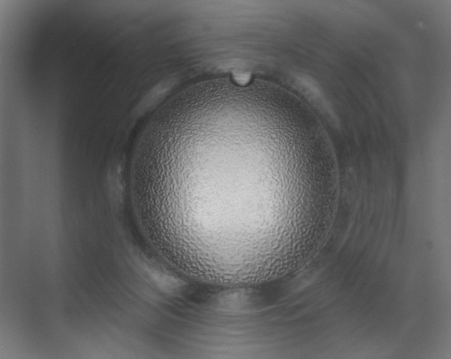 X0000072510116200607141142