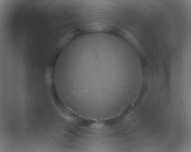 X0000072510119200607141142