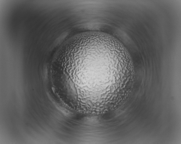 X0000072510120200607141142