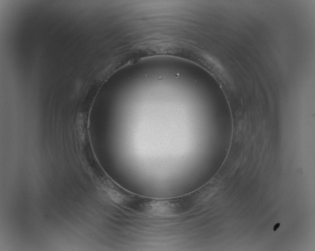 X0000072510121200607141142