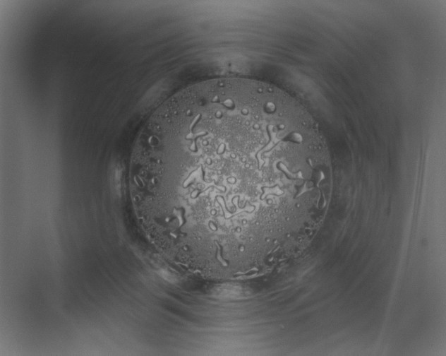 X0000072510123200607141142