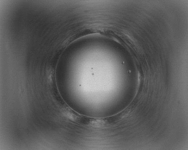 X0000072510125200607141142