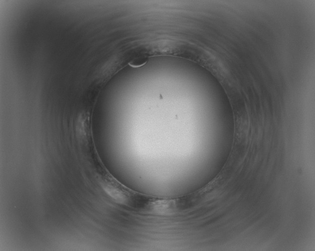 X0000072510126200607141142