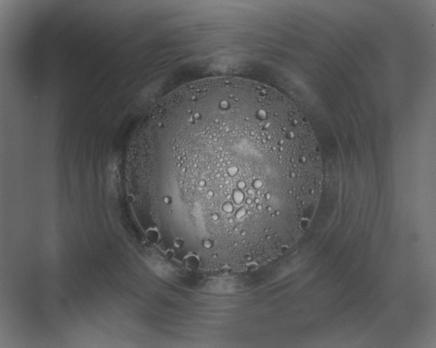 X0000072510127200607141142