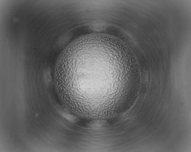 X0000072510128200607141142