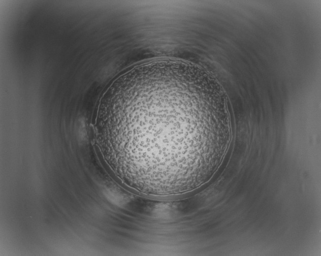 X0000072510130200607141142