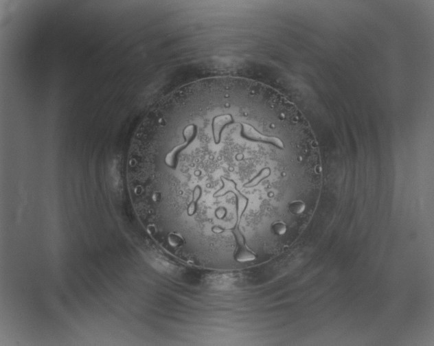 X0000072510131200607141142