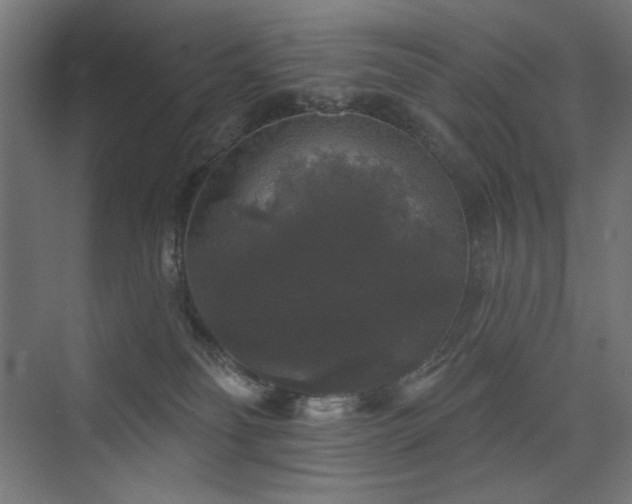 X0000072510134200607141142