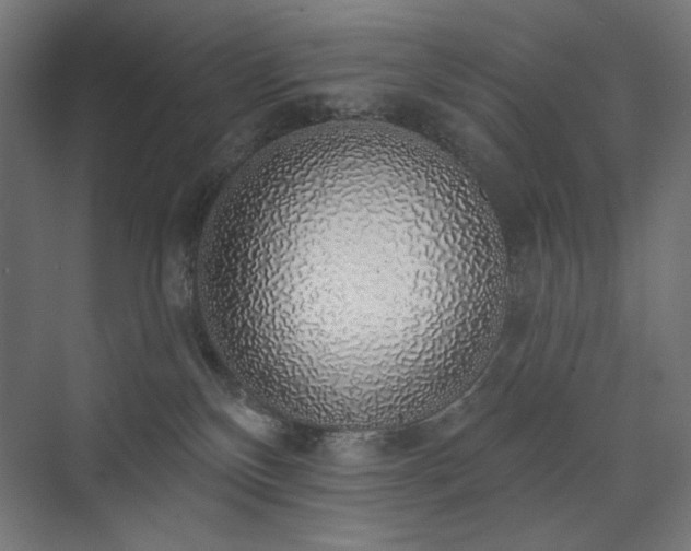 X0000072510136200607141142