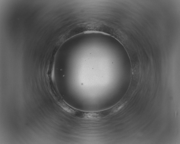 X0000072510137200607141142