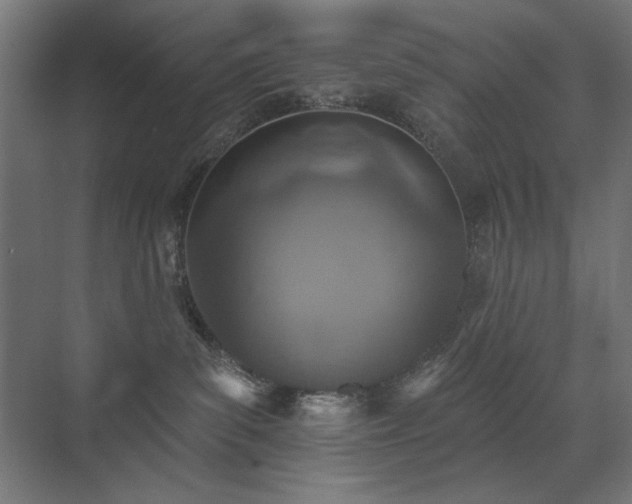 X0000072510139200607141142