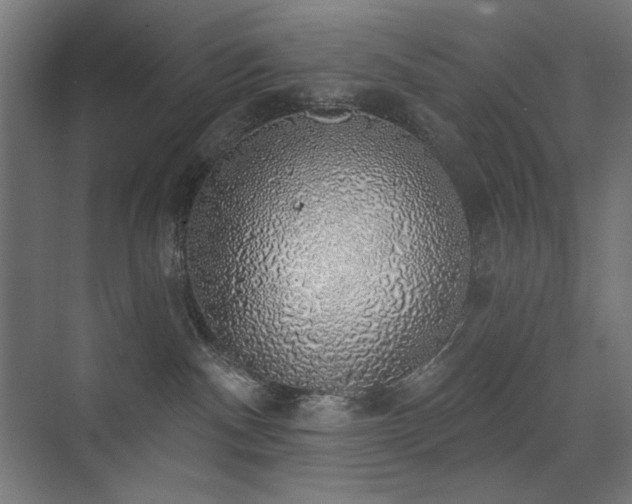 X0000072510140200607141142