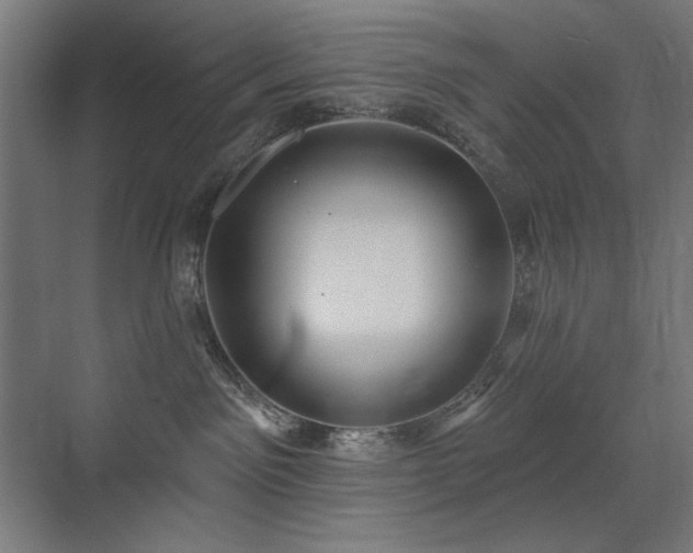 X0000072510141200607141142