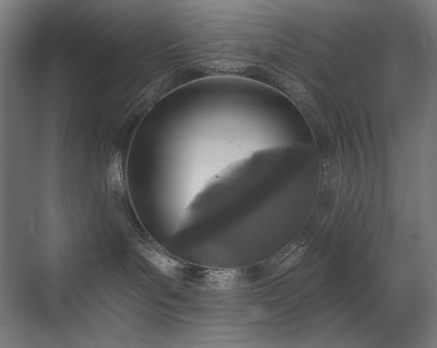 X0000072510143200607141142