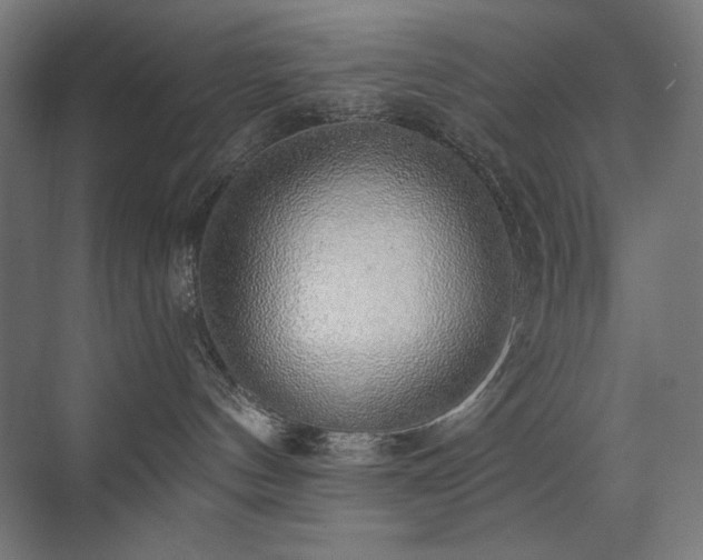 X0000072510144200607141142