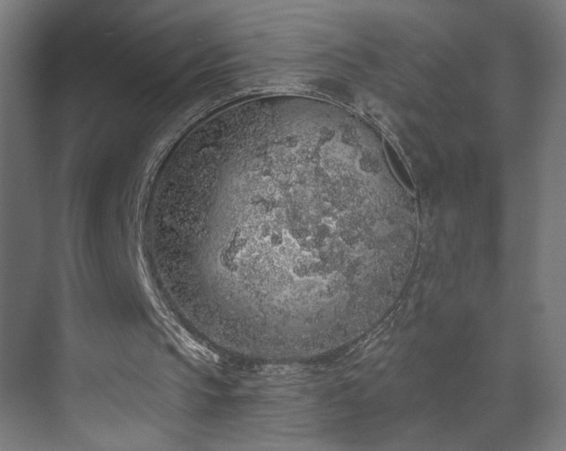 X0000072510145200607141141