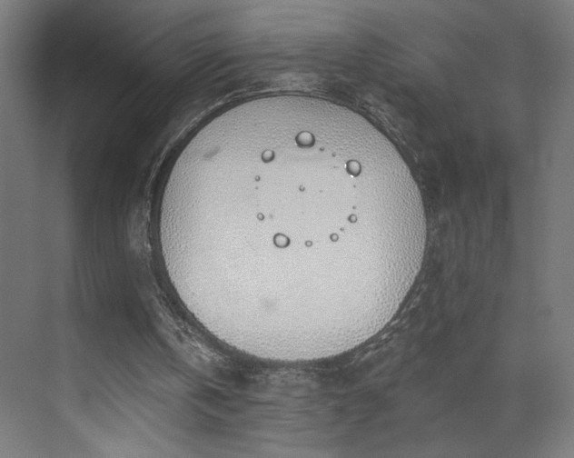 X0000072510146200607141141