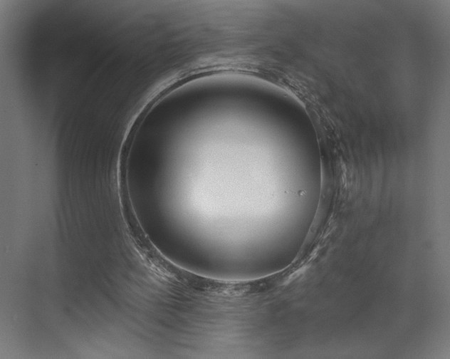 X0000072510148200607141141