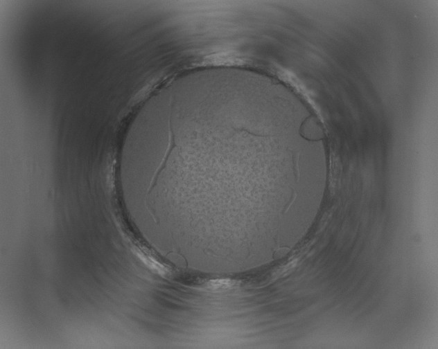 X0000072510153200607141141