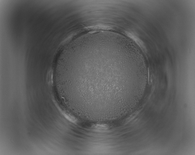 X0000072510157200607141141