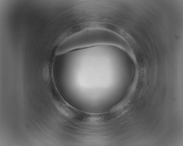 X0000072510158200607141141