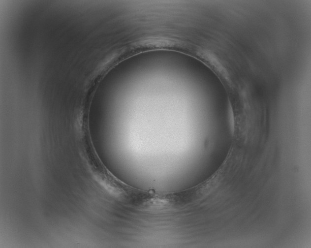 X0000072510159200607141141